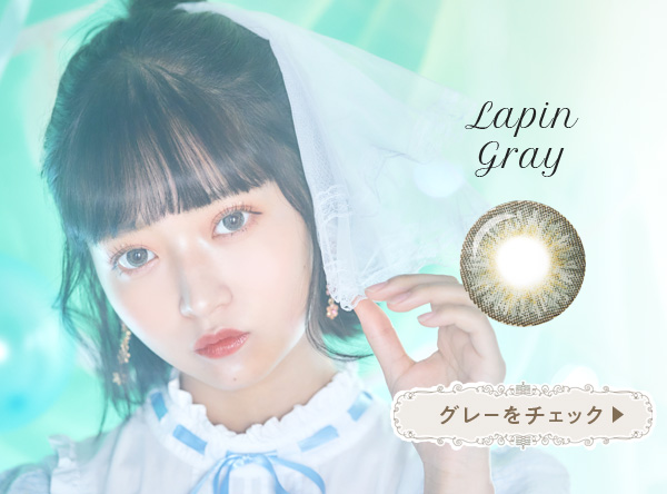 Lapin gray