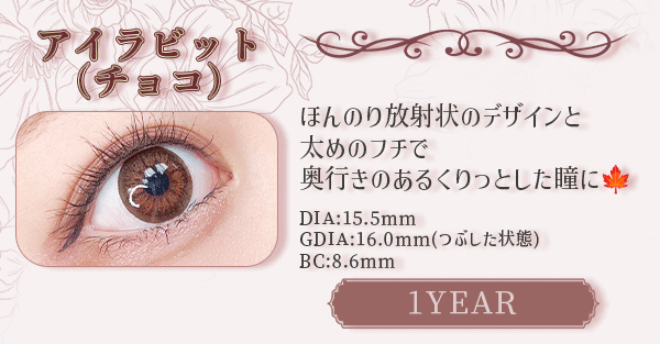 アイラビット（チョコ）