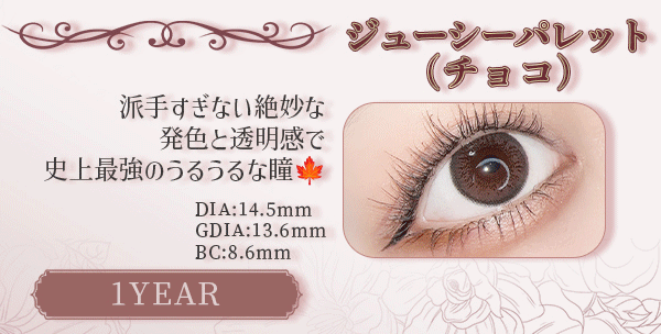 ジューシーパレット（チョコ）