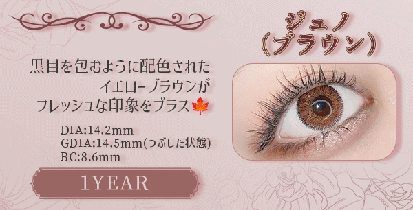 ジュノ（ブラウン）