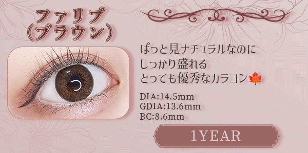 ファリブ（ブラウン）